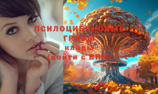 MDMA Алексин