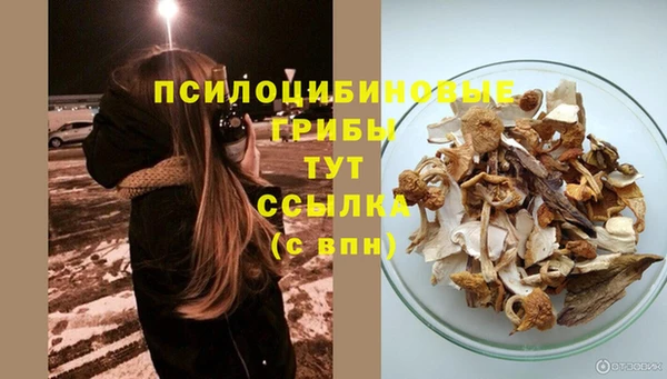 соль ск Алексеевка