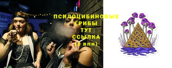 соль ск Алексеевка
