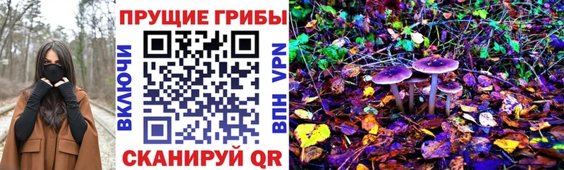 Псилоцибиновые грибы GOLDEN TEACHER  Михайловск 