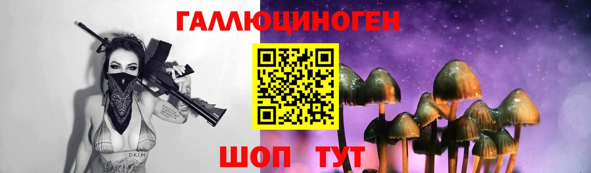 Галлюциногенные грибы GOLDEN TEACHER  Вход с VPN  Михайловск  Псилоцибиновые грибы ЛСД 